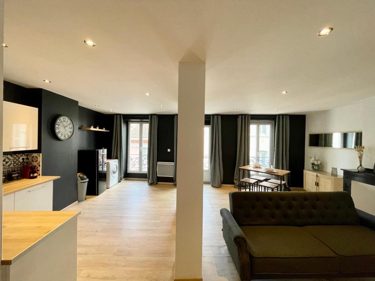 Spacieux Appartement Lumineux Coeur De Ville Pamiers Bagian luar foto